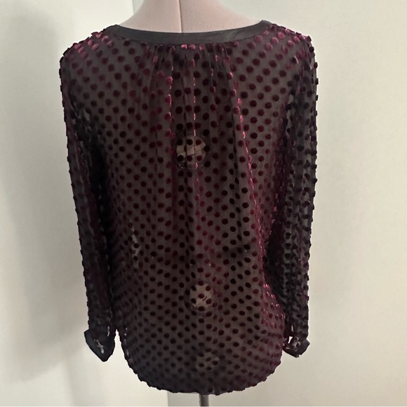 Club Monaco Silk Blend Sheer Polka Dot Top size XS - Picture 3 of 7